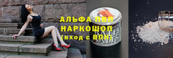 ПСИЛОЦИБИНОВЫЕ ГРИБЫ Арсеньев